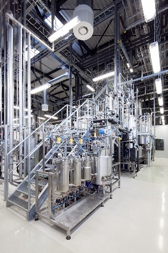 Bioreactor cascade for the scaling of fermentation processes